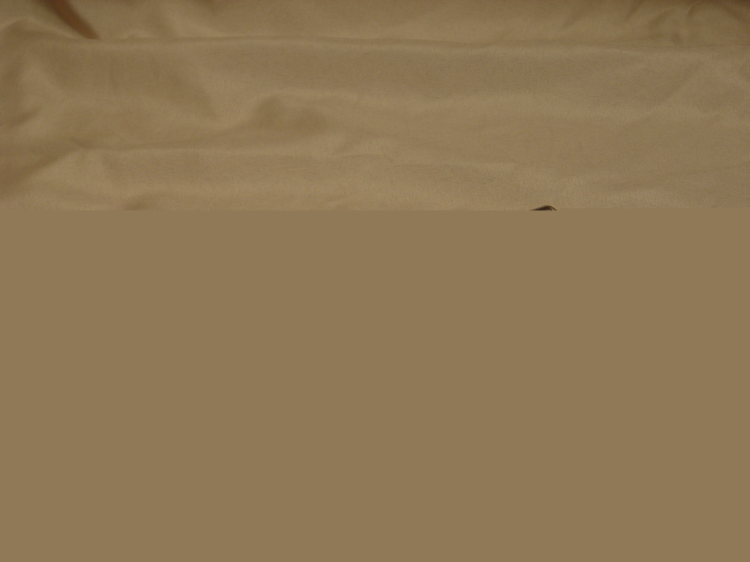 gallery2/DSC02109.JPG